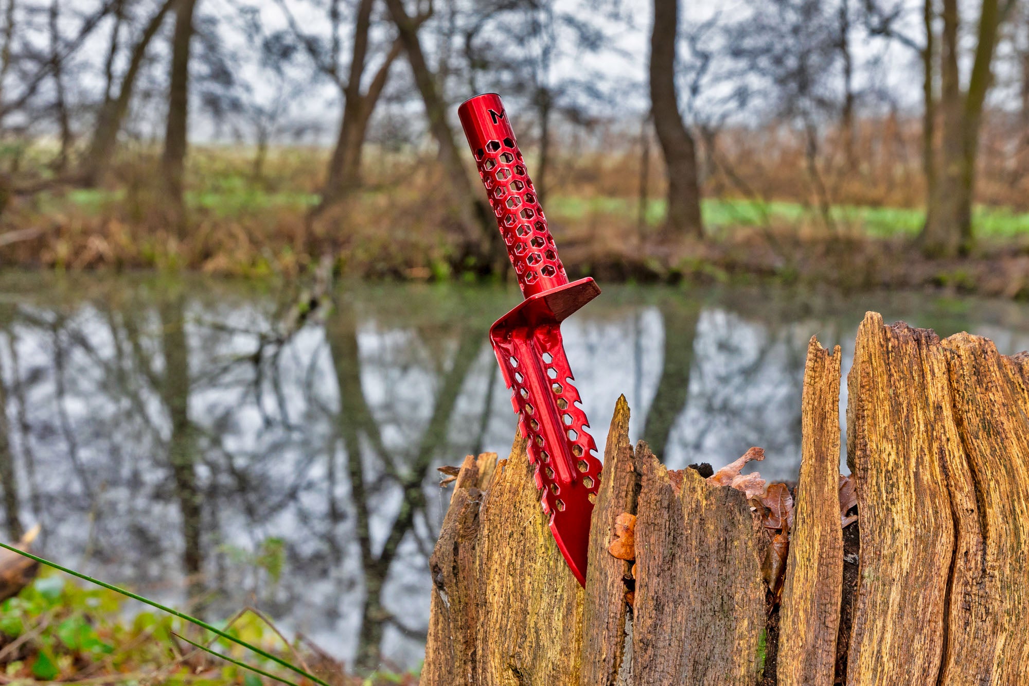 Motley Grass Knife in Red Raven stuck in a weathered stump beside a woodland pond