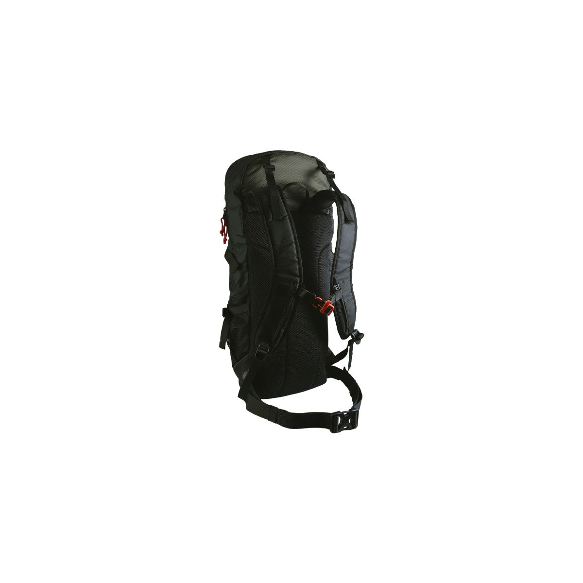XP Backpack 240 back panel with padded harness, chest strap and waist belt
